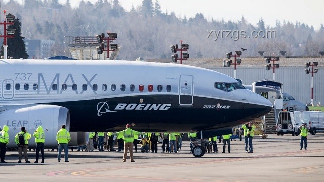 印度坠机事故疑遭鸟击：航空安全挑战与应对策略
